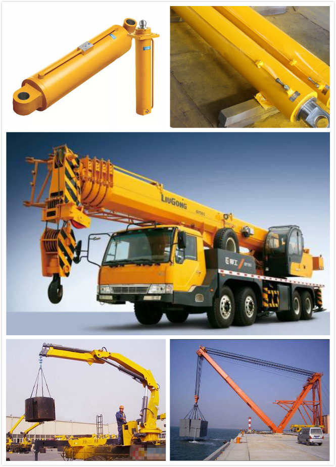 Dual Action Double Acting Hydraulic Ram 2 Way Chrome Crane with Piston